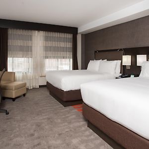 Queen Suite